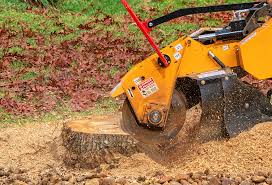Best Tree Preservation Services  in Spring City, UT