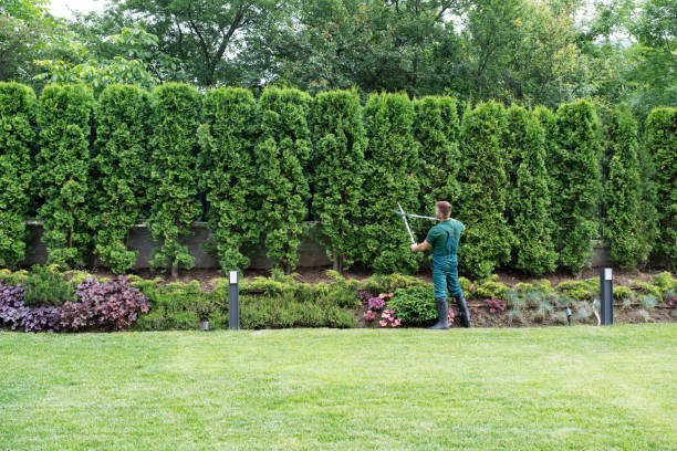 Best Artificial Turf Installation  in Spring City, UT